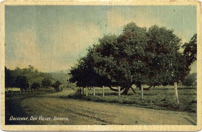 HGLDonValley.jpg