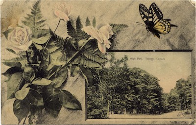 MerrillHighPark.jpg