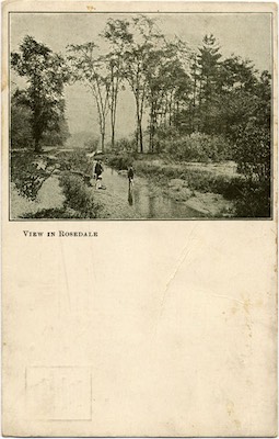 CMitchellRosedale.jpg